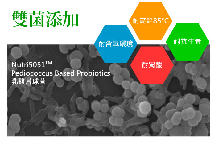 Nutri5051Pediococcus Based Probiotics乳酸片球菌